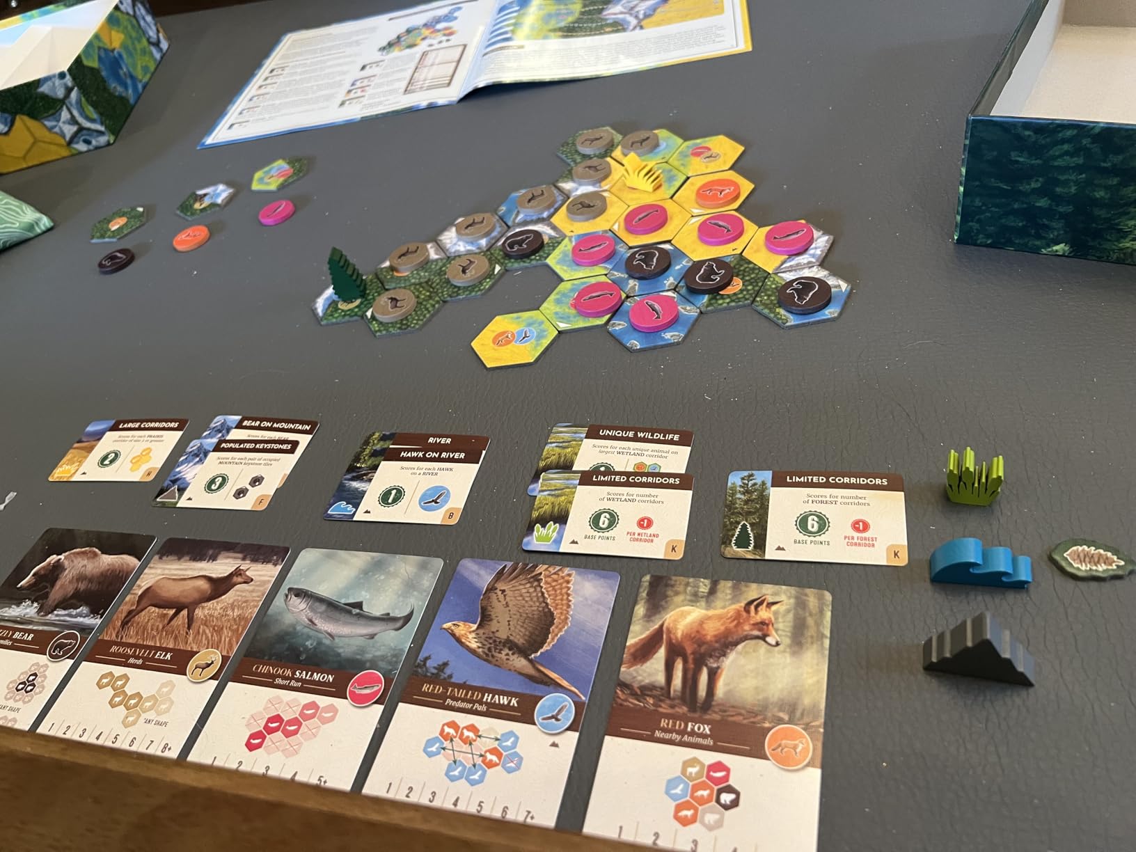 Cascadia Board Game Customer Review 1