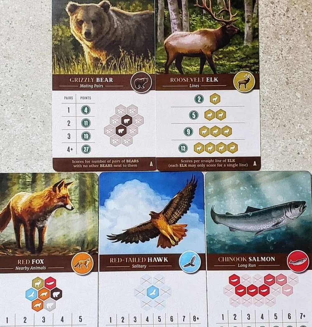 Cascadia Board Game Customer Review 6